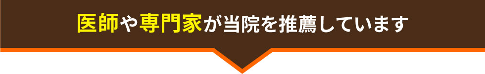 京都市下京区西大路交通事故・むちうち治療専門院(はちじょう鍼灸整骨院)は医師や専門家が推薦している交通事故治療やむちうち治療に特化した整骨院・整体院です